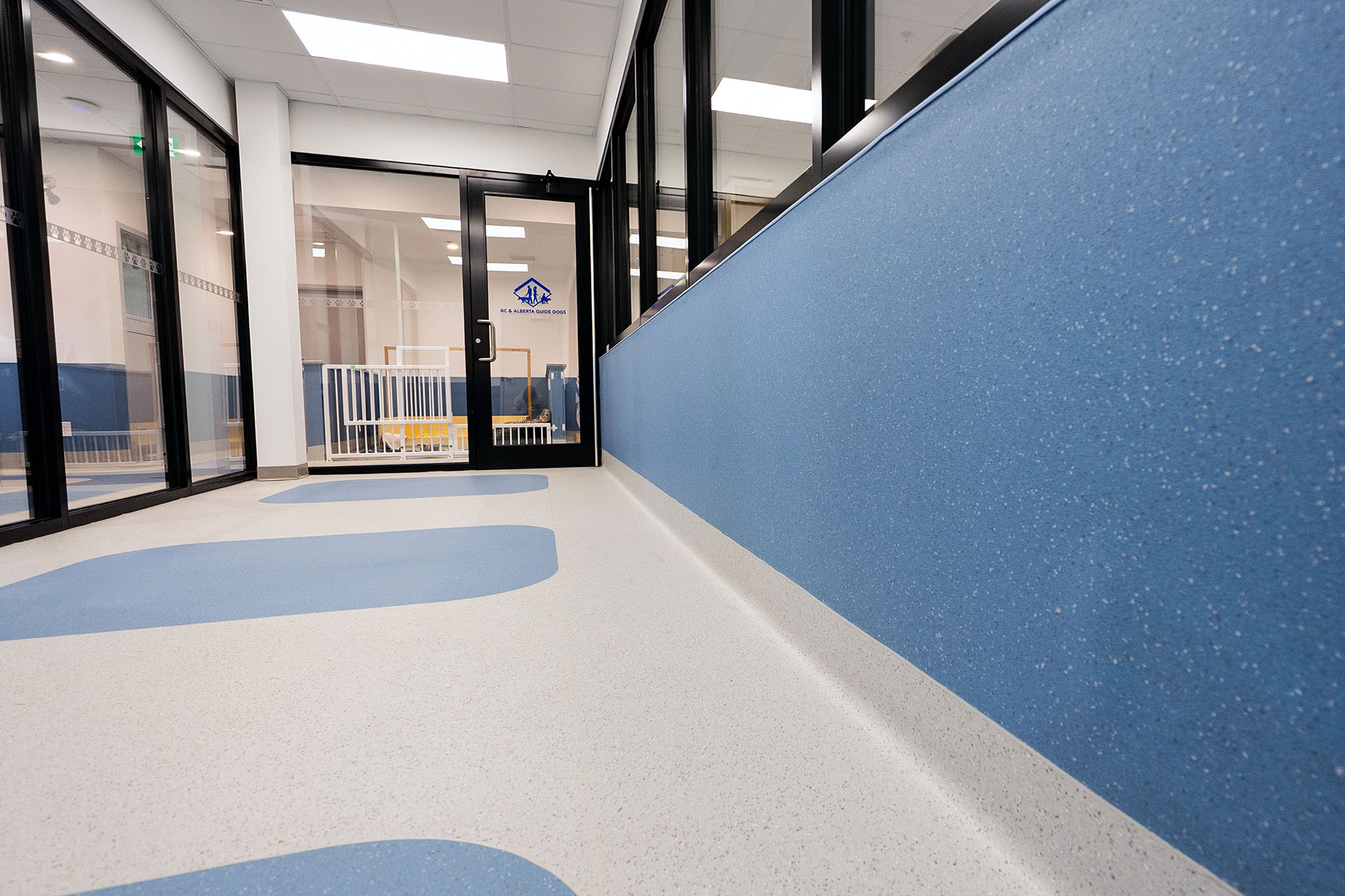 BC & Alberta Guide Dogs_04