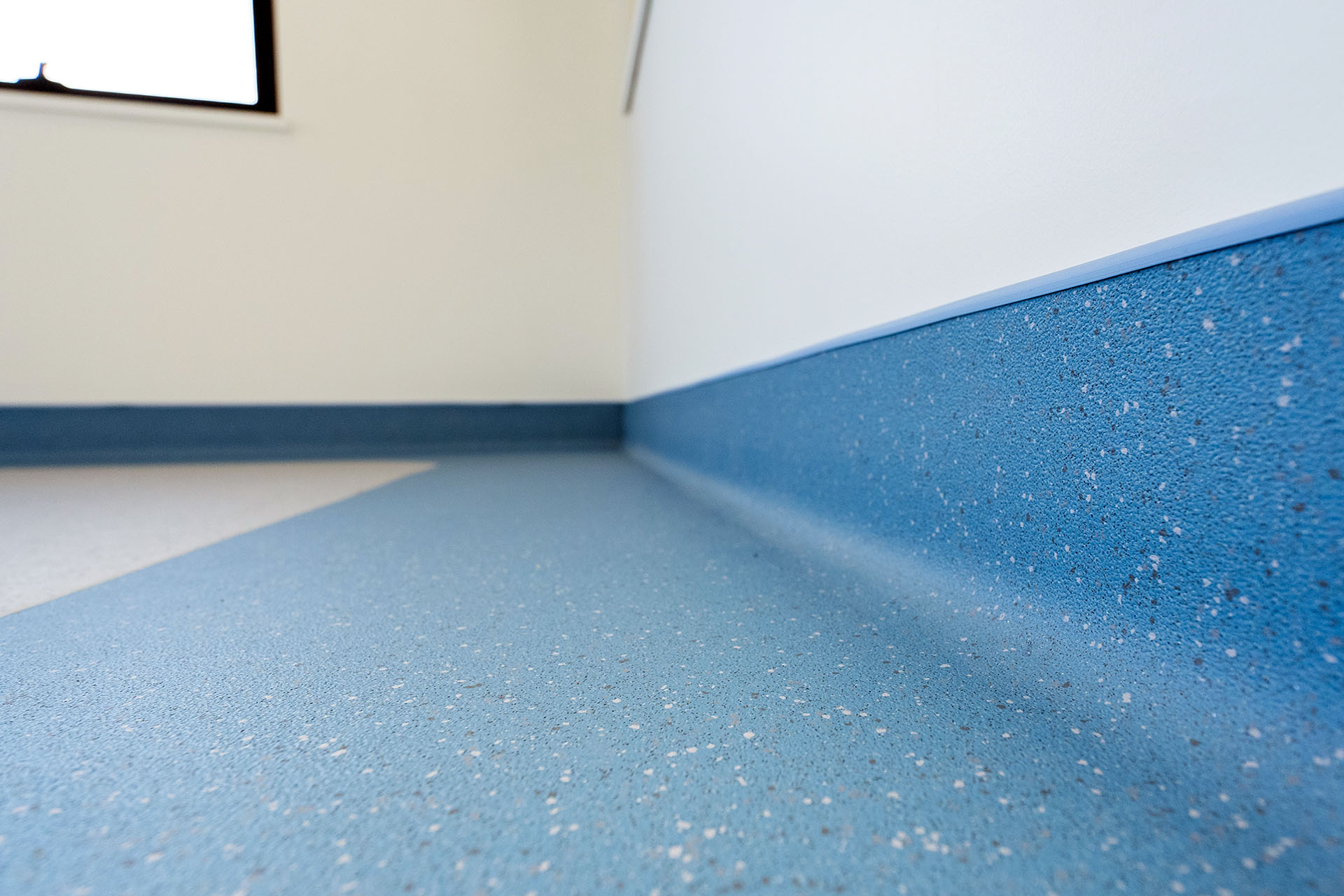 BC & Alberta Guide Dogs_07