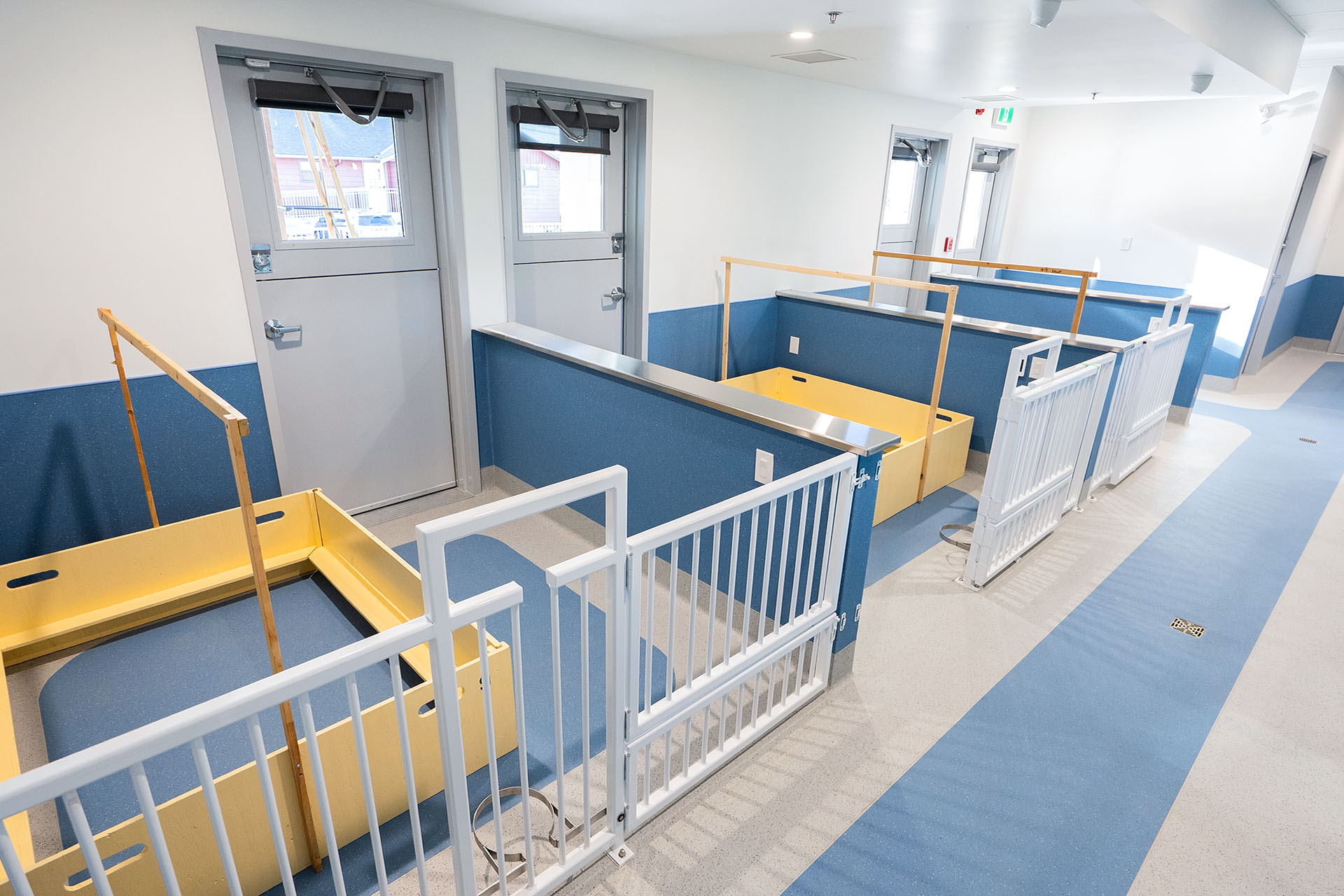 BC & Alberta Guide Dogs_01