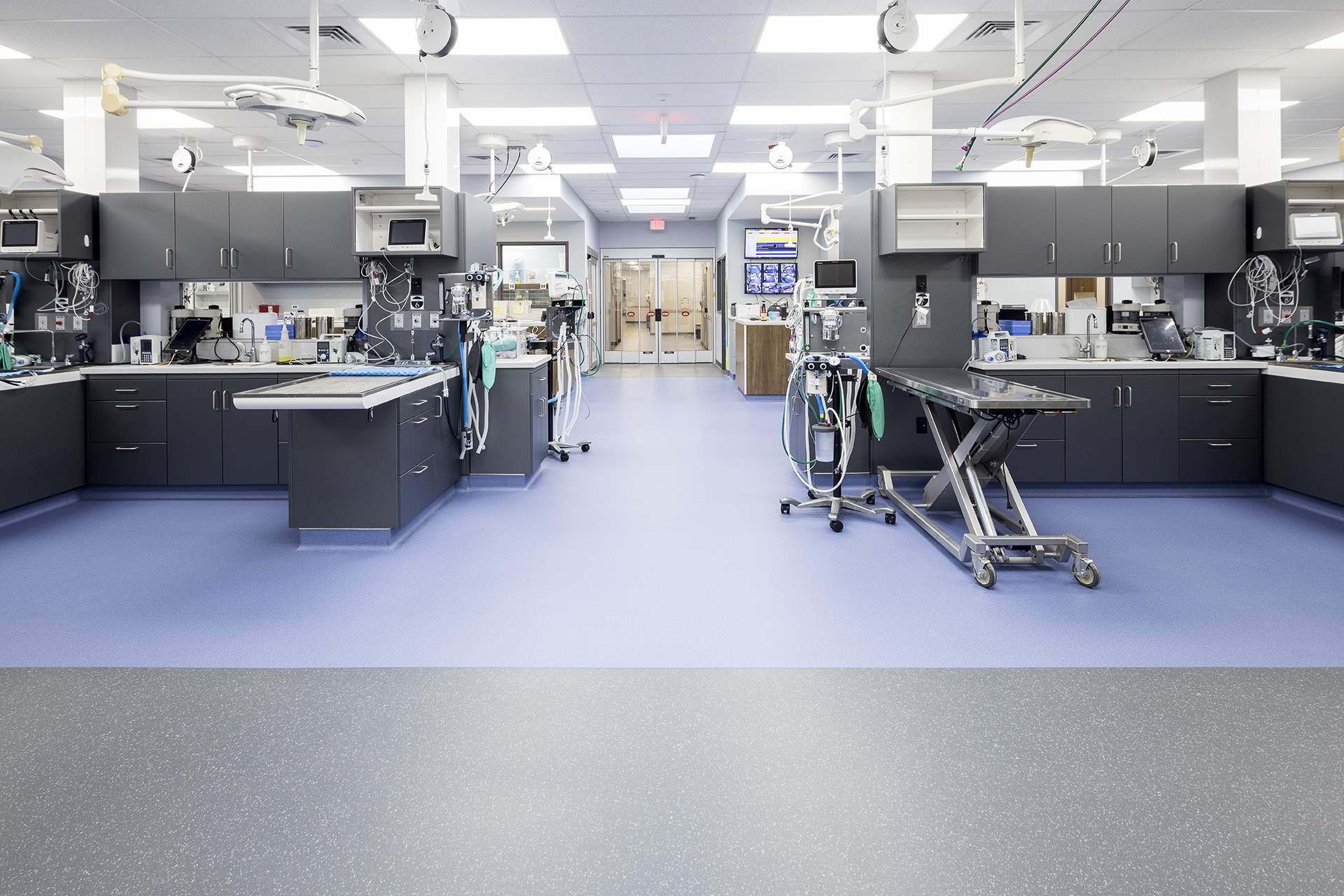 Veterinary Complex System Veterinary Specialty Center | Veterinary case studies | Altro USA US