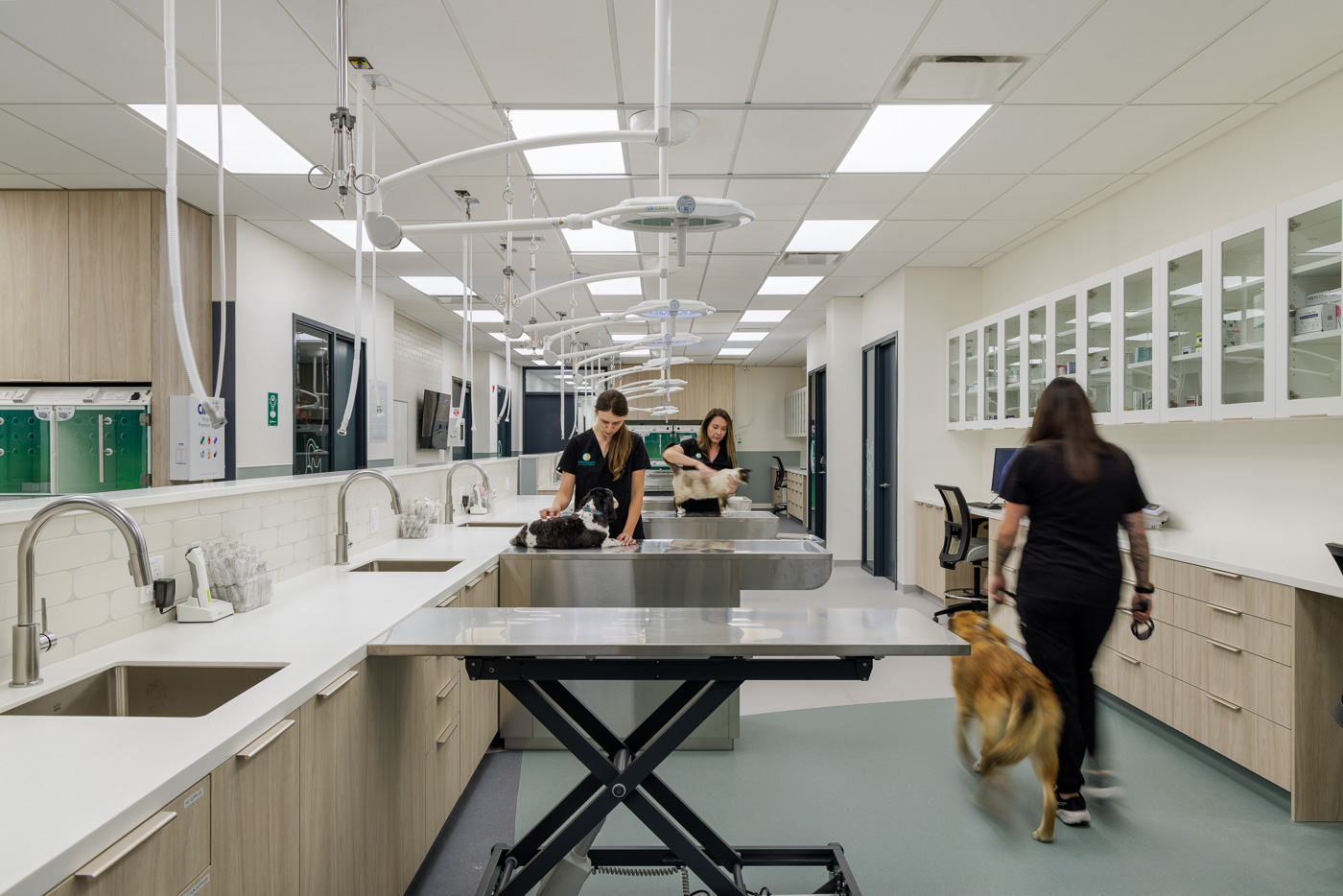 Altro in vet clinic Altro installed in veterinary clinic