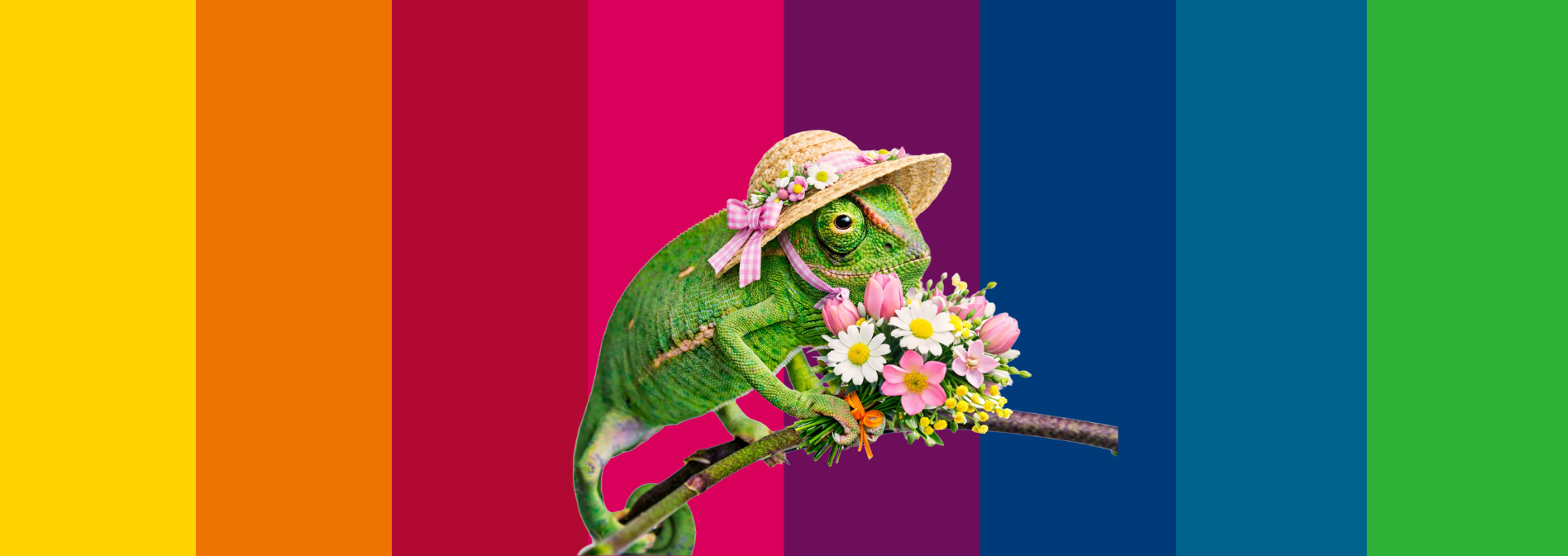 Background Cover Image