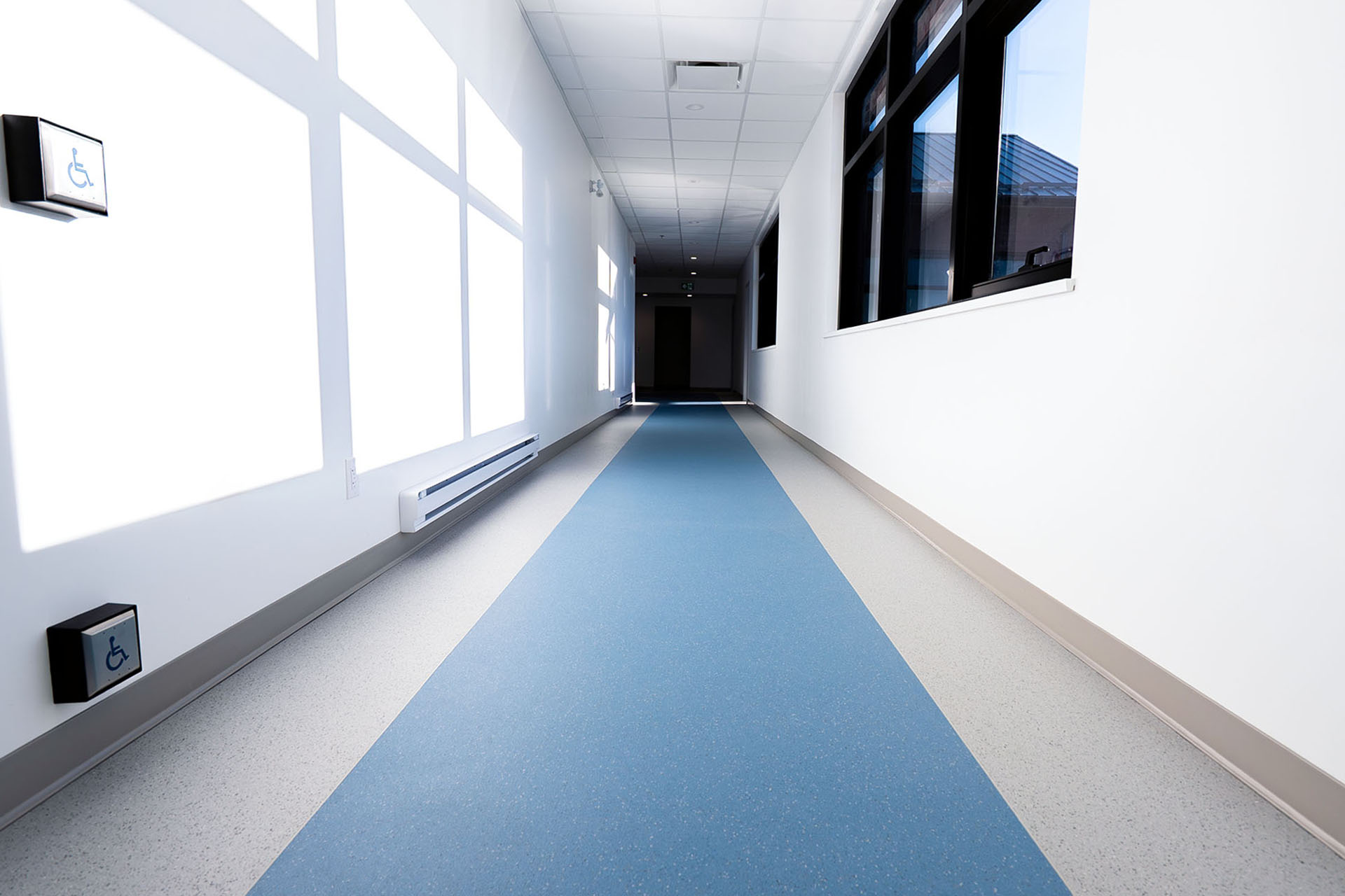 BC & Alberta Guide Dogs_09