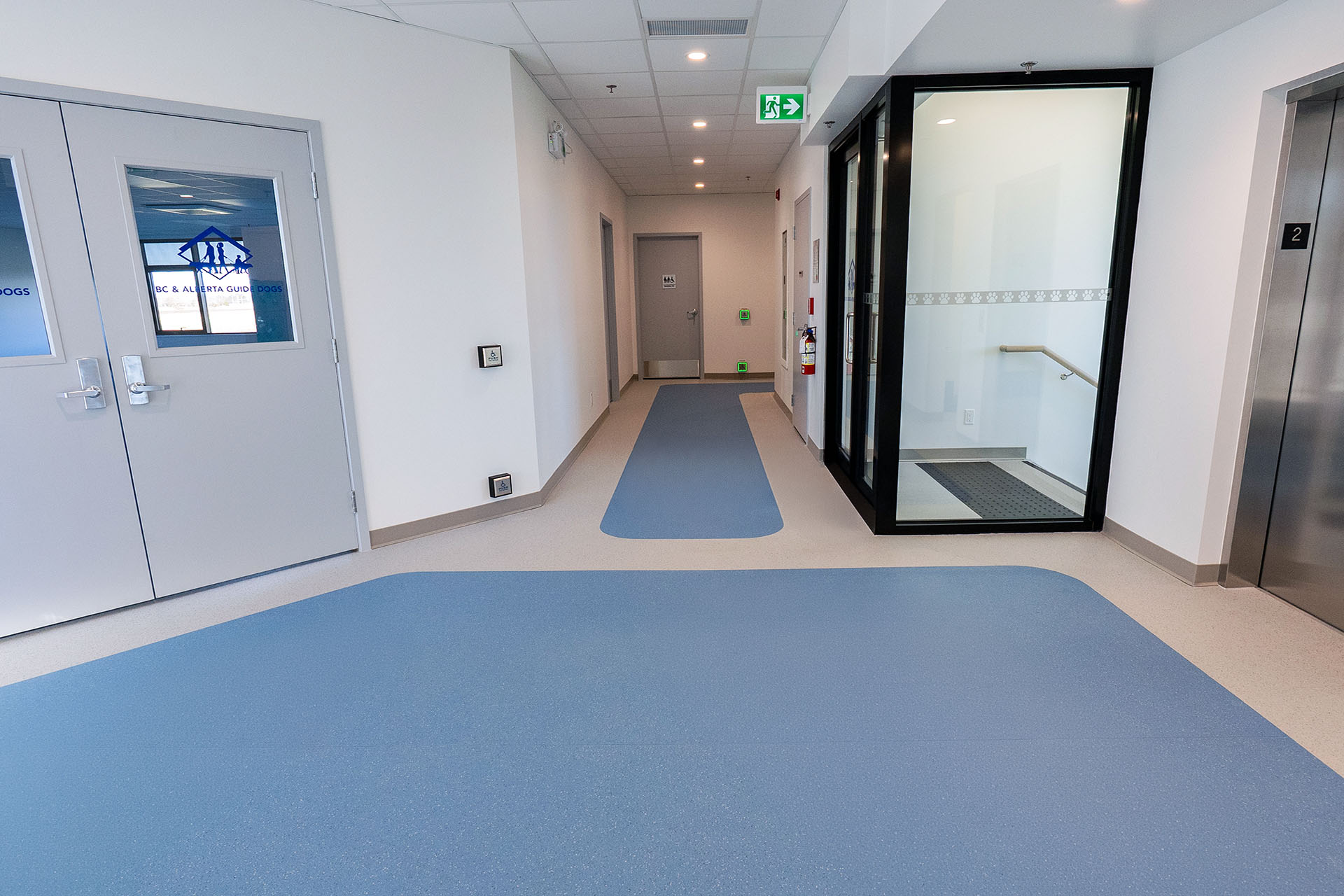 BC & Alberta Guide Dogs_10