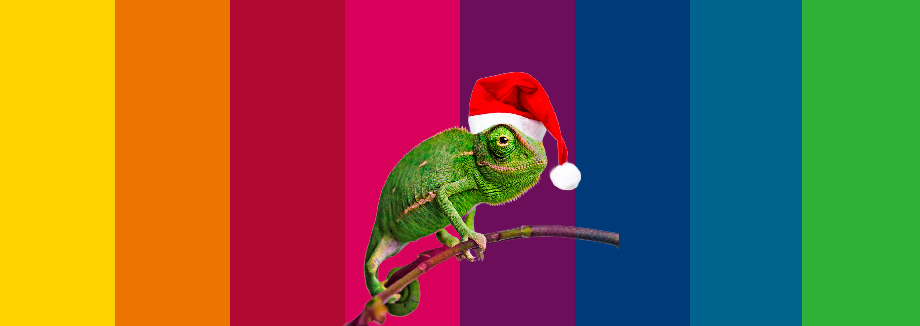 Background Cover Image