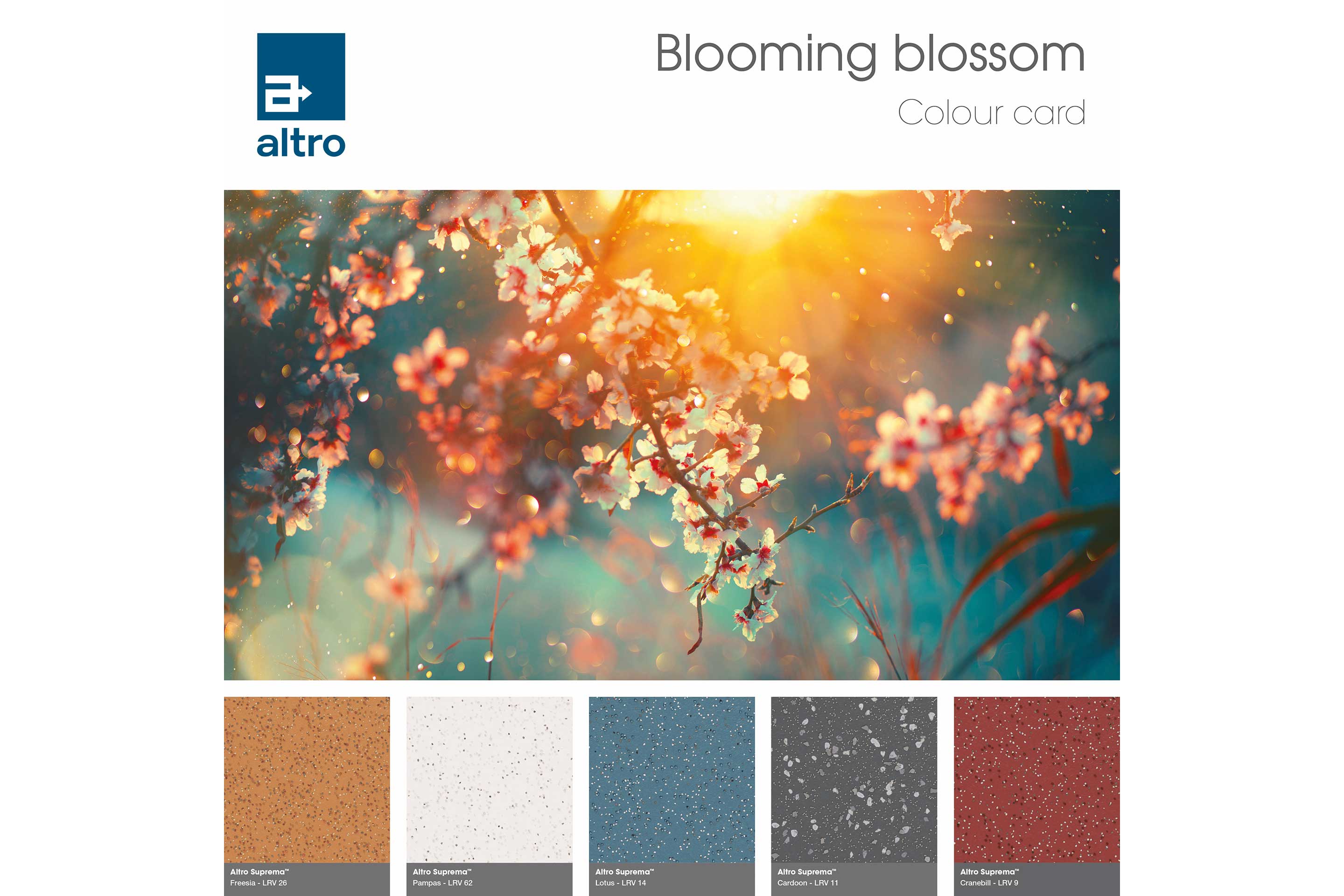 Altro Suprema Colour card - Flowers