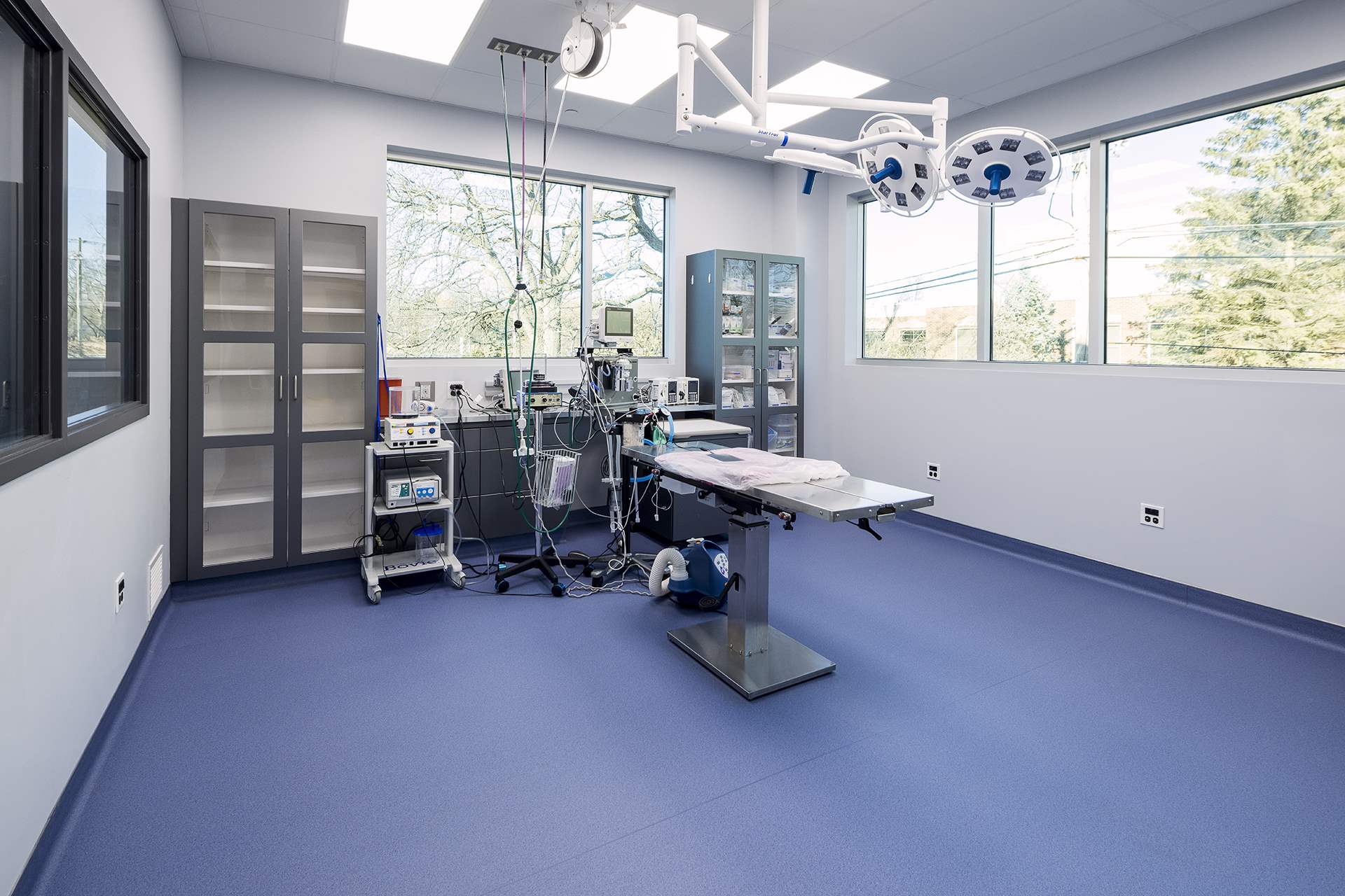 Veterinary Specialty Center | Veterinary case studies | Altro USA US