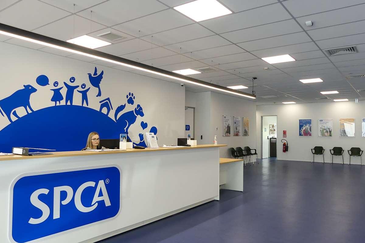 SPCA and Doggy Daycare
