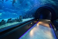 The Deep Aquarium UK