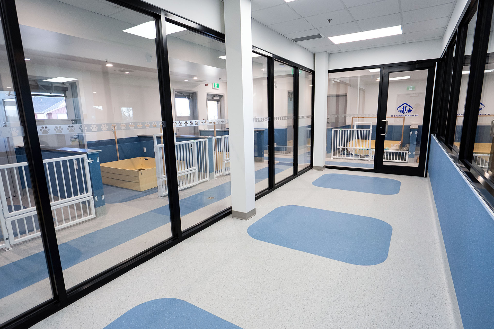 BC & Alberta Guide Dogs_03