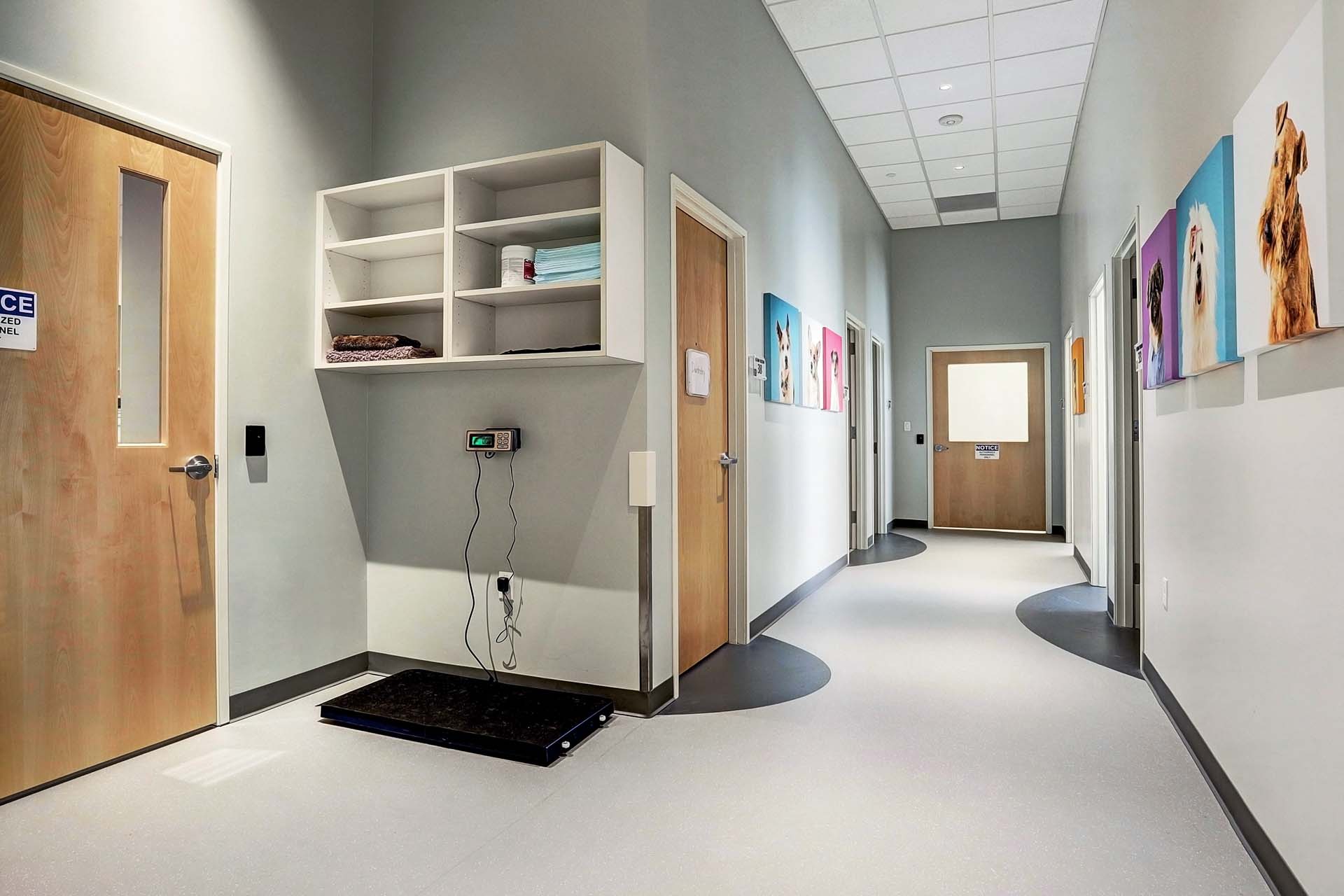 Altro floors installed in veterinary clinic imaging area