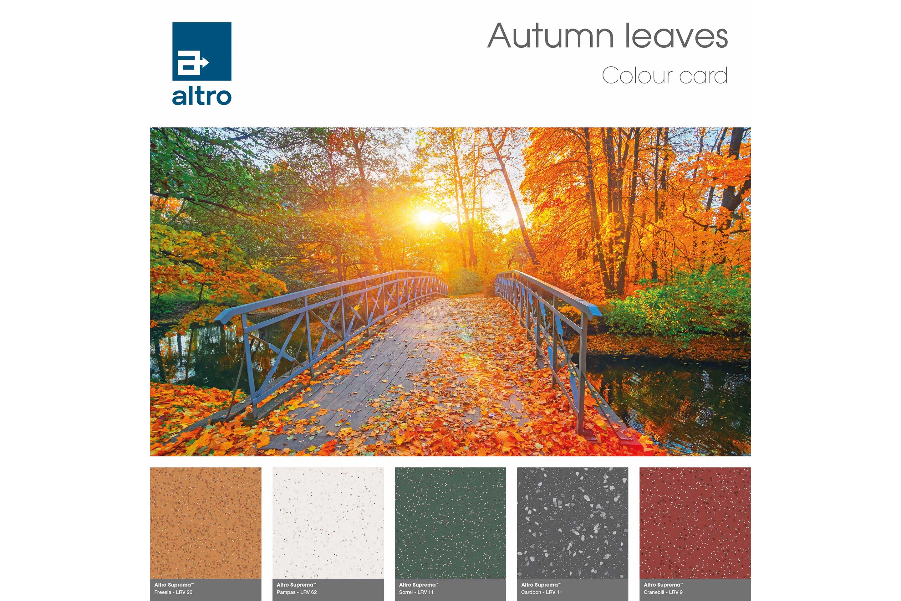 Altro Suprema Colour card - Autumn 